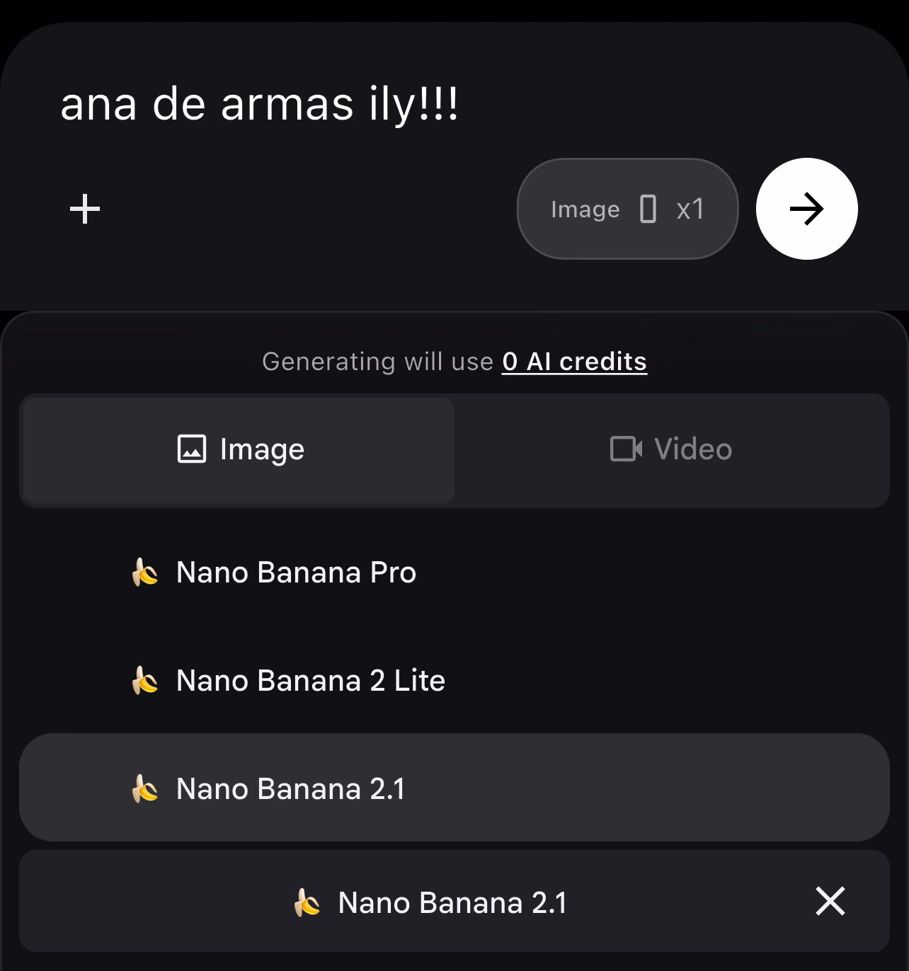 Supplied interface screenshot lists Nano Banana 2.1 and shows it selected for image generation.