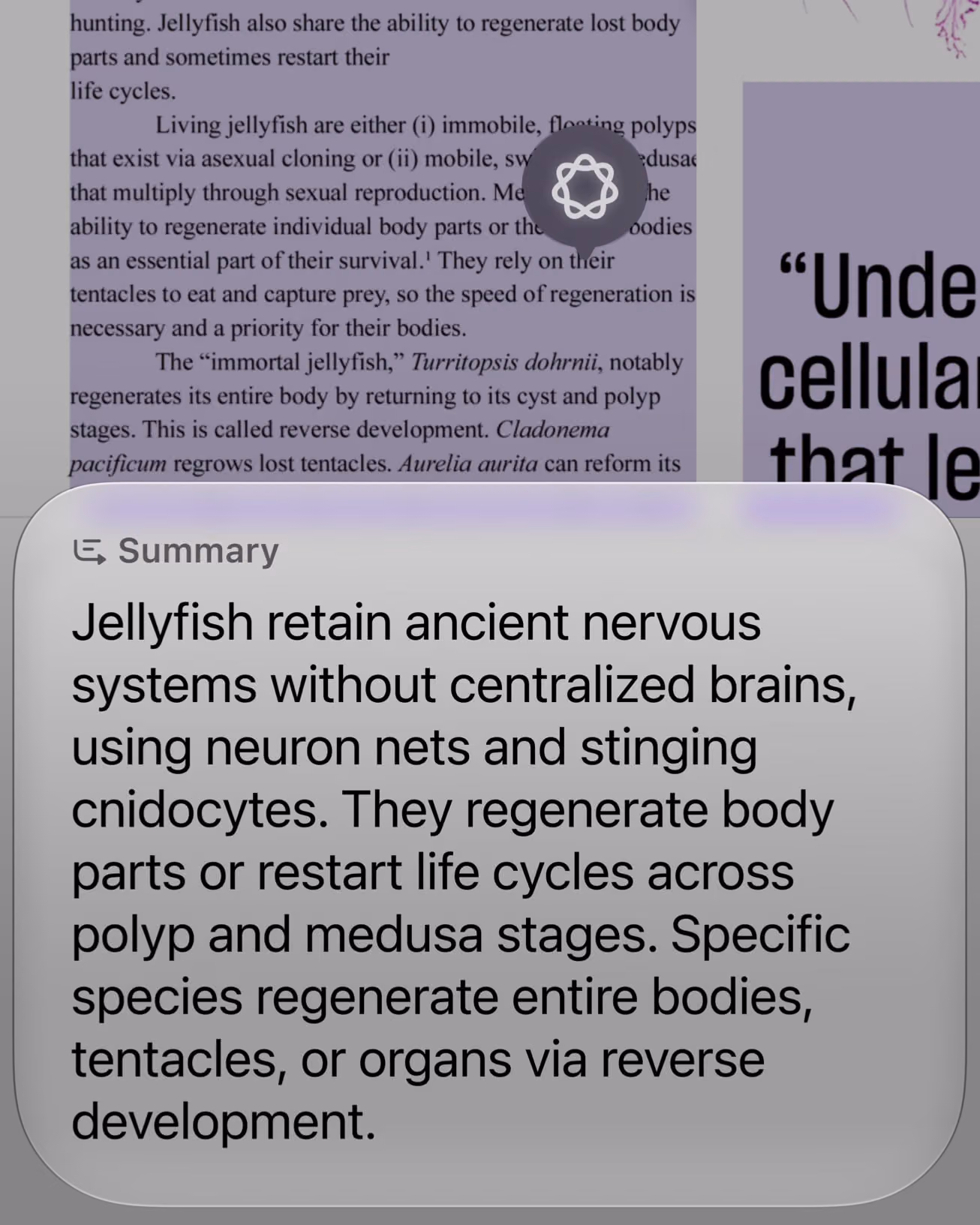 Siri AI answers questions about the content on a user’s screen.